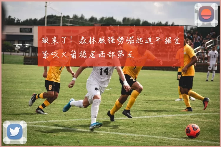狼来了！森林狼强势崛起追平掘金紧咬火箭稳居西部第五