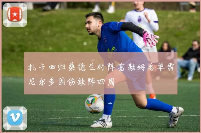 扎卡回归桑德兰对阵富勒姆名单雷尼尔多因伤缺阵四周